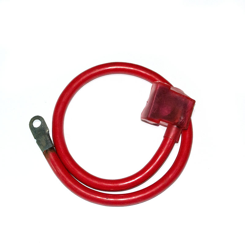KLEMA SA KABLOM PLUS + 31CM AS